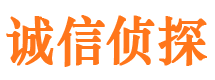 望谟市侦探调查公司